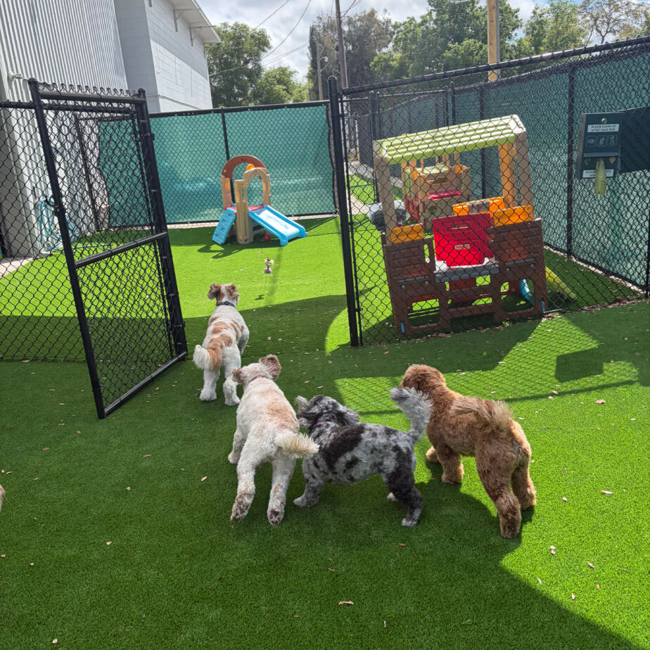 Play yard at Golden Spots